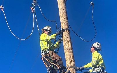 The 1952 Society Blog 4 Grounds and Jumpers: What’s the Difference?